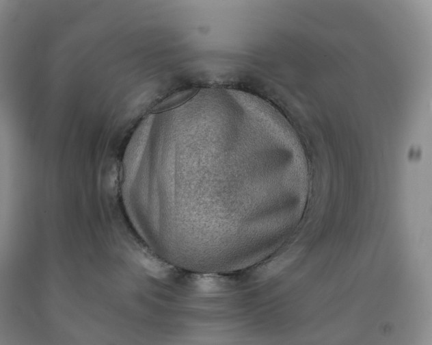 X0000092000336200709201514