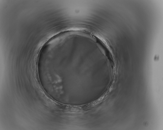 X0000092000337200709201513