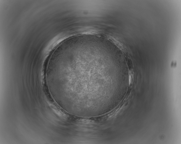 X0000092000339200709201513