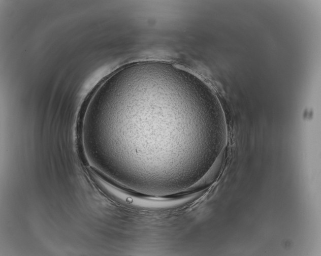 X0000092000340200709201513