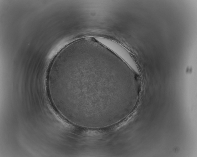 X0000092000341200709201513