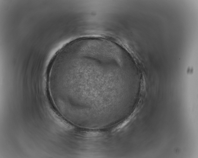 X0000092000342200709201513