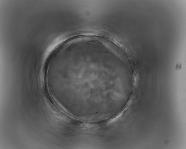 X0000092000343200709201514