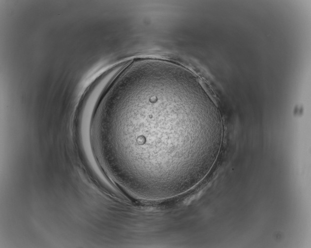 X0000092000344200709201514