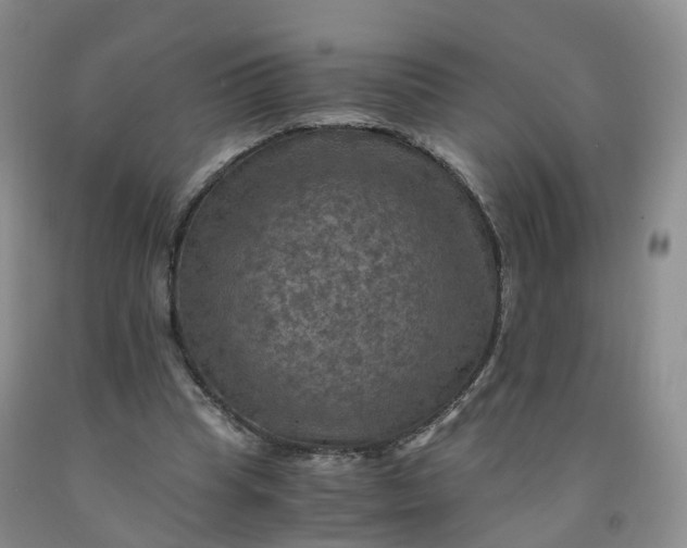 X0000092000345200709201514