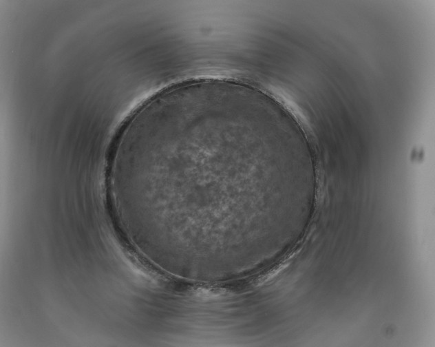 X0000092000346200709201514