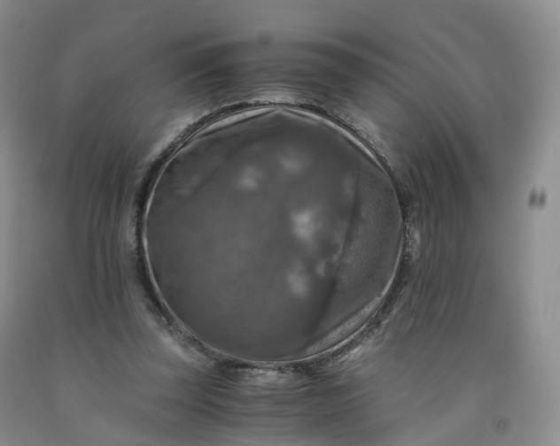 X0000092000347200709201514