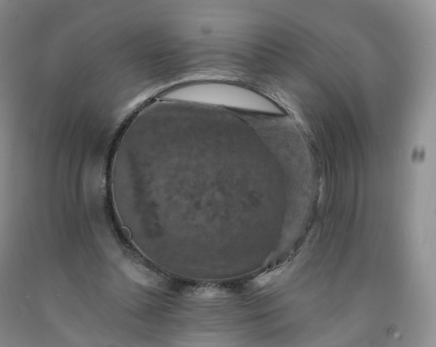 X0000092000348200709201514