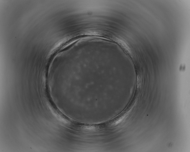 X0000092000349200709201514