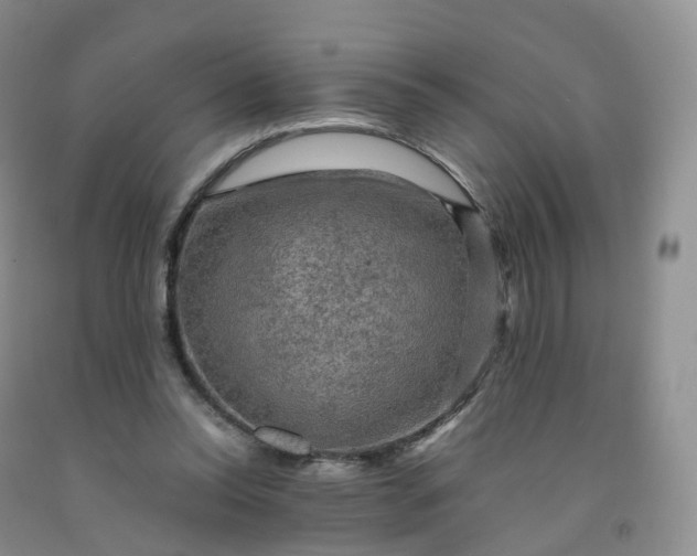 X0000092000350200709201514