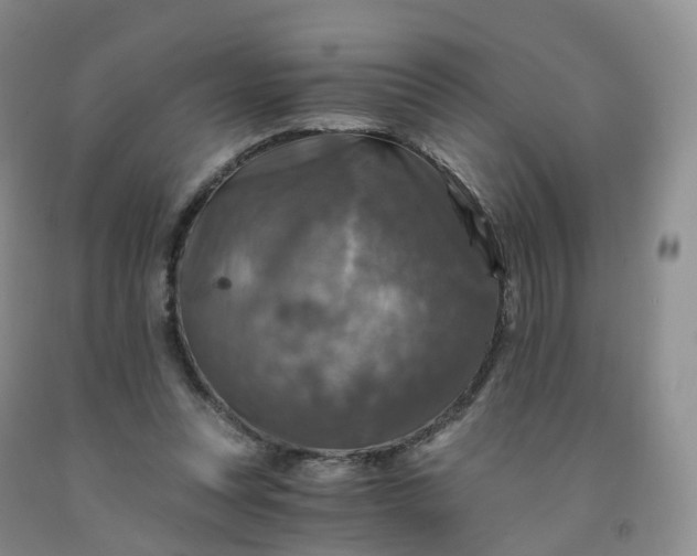 X0000092000351200709201514