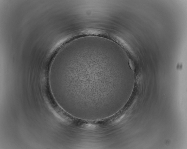 X0000092000352200709201514