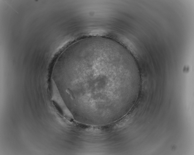 X0000092000354200709201514