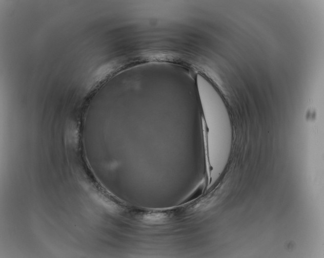 X0000092000357200709201514