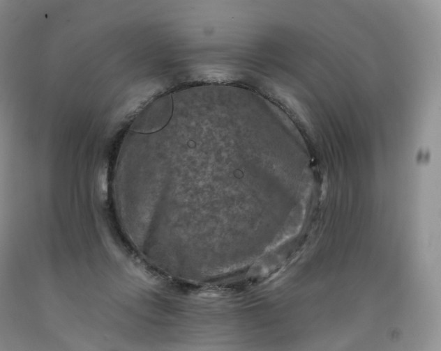 X0000092000358200709201514