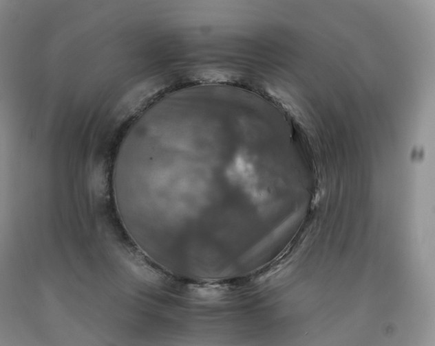 X0000092000359200709201514