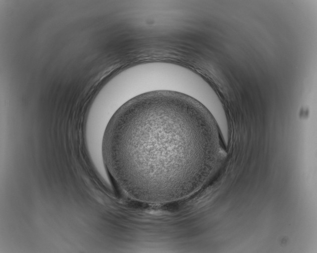 X0000092000360200709201514