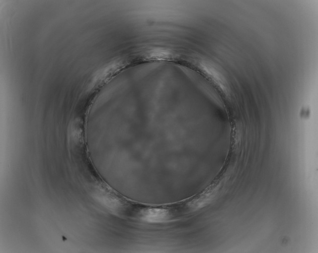 X0000092000361200709201514