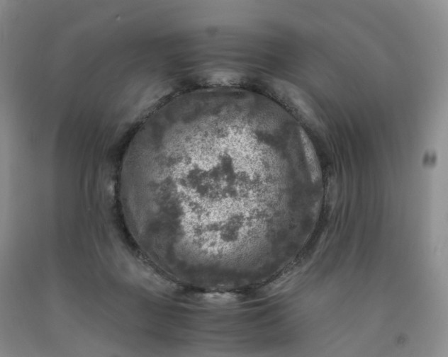 X0000092000363200709201514