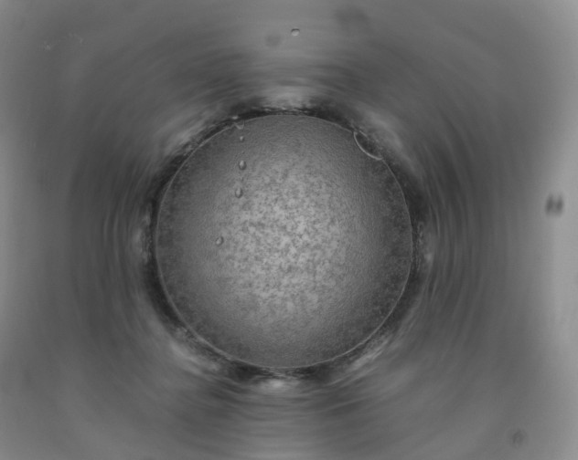 X0000092000364200709201514