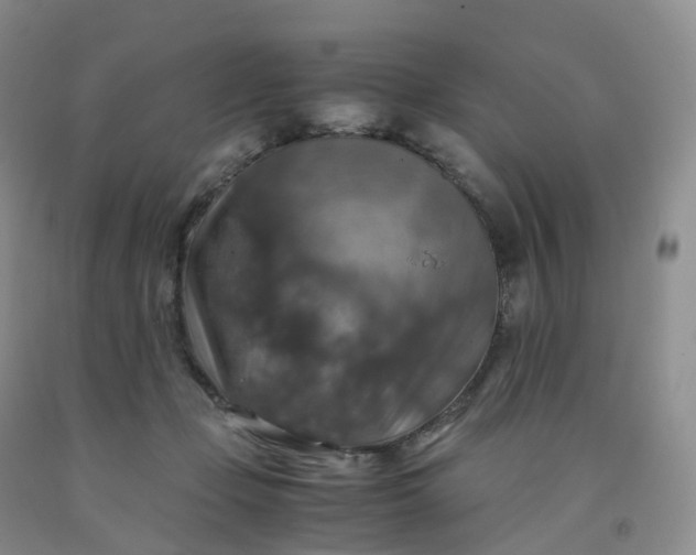 X0000092000365200709201514