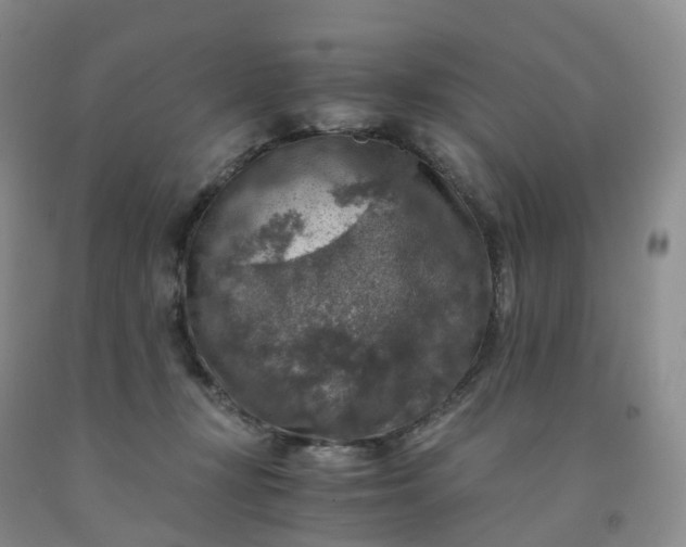 X0000092000367200709201514