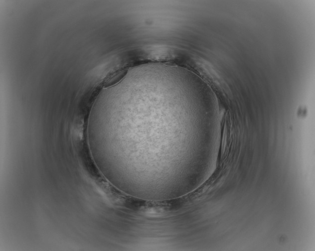 X0000092000368200709201514