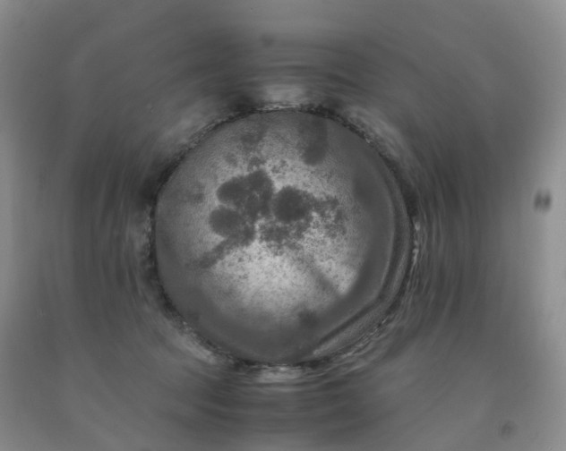 X0000092000369200709201514