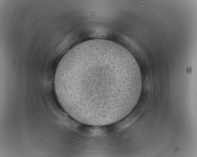 X0000092000370200709201514