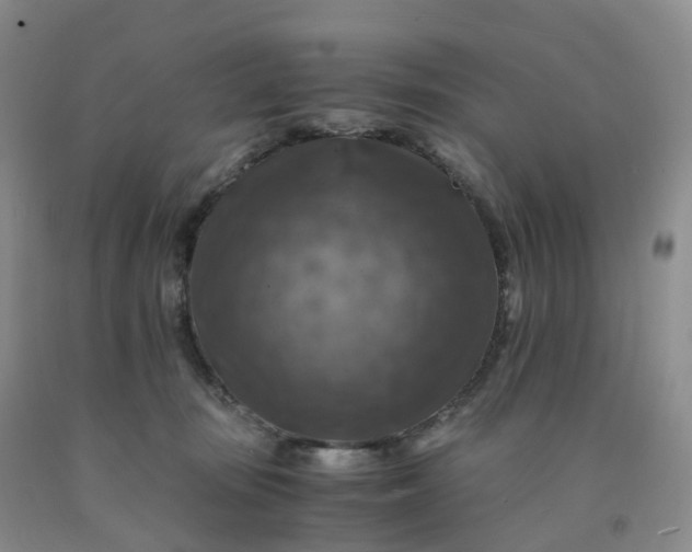 X0000092000371200709201514