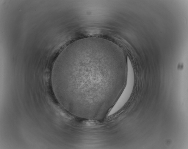 X0000092000372200709201514