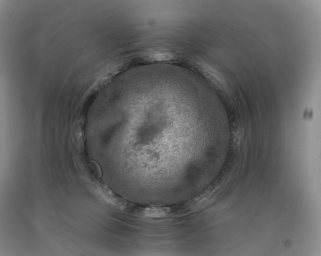 X0000092000373200709201514