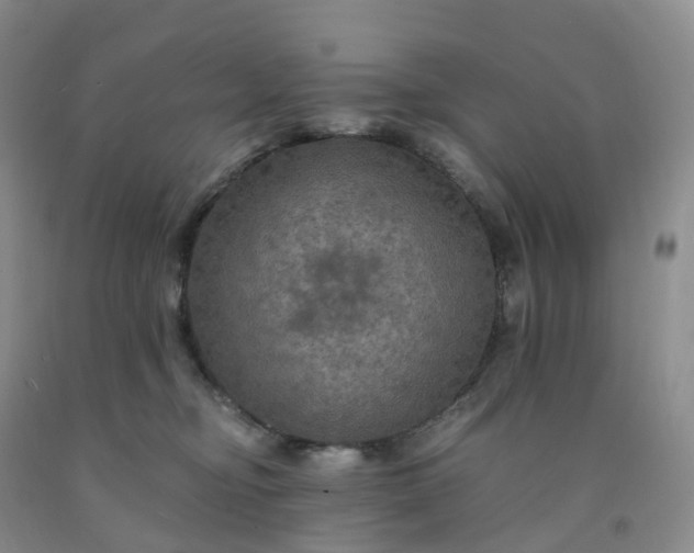 X0000092000374200709201514