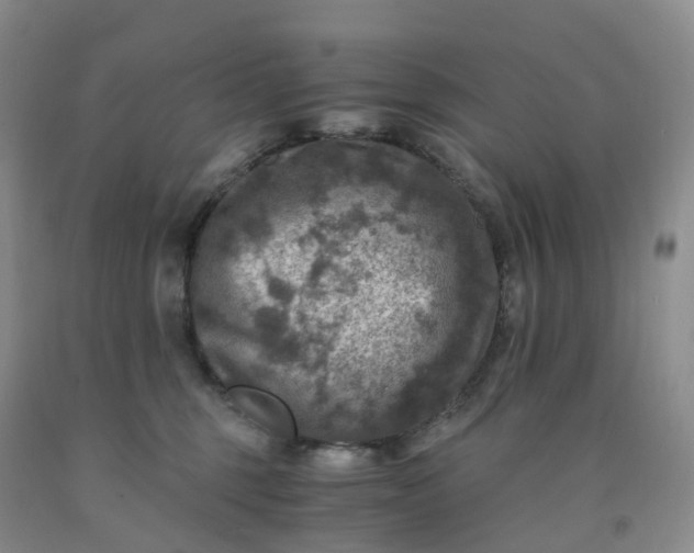 X0000092000375200709201514