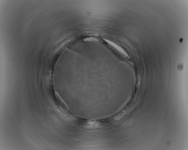 X0000092000376200709201514