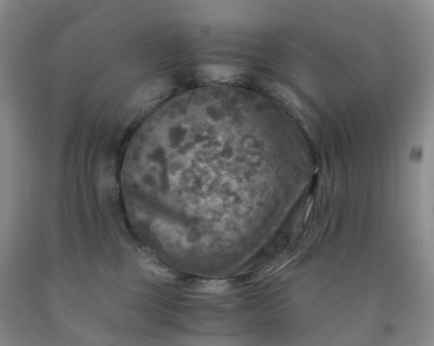 X0000092000377200709201514