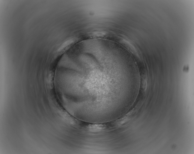 X0000092000378200709201514