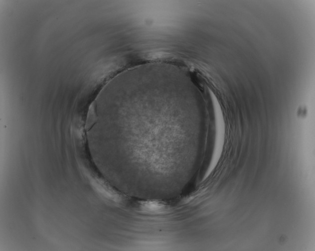 X0000092000380200709201514