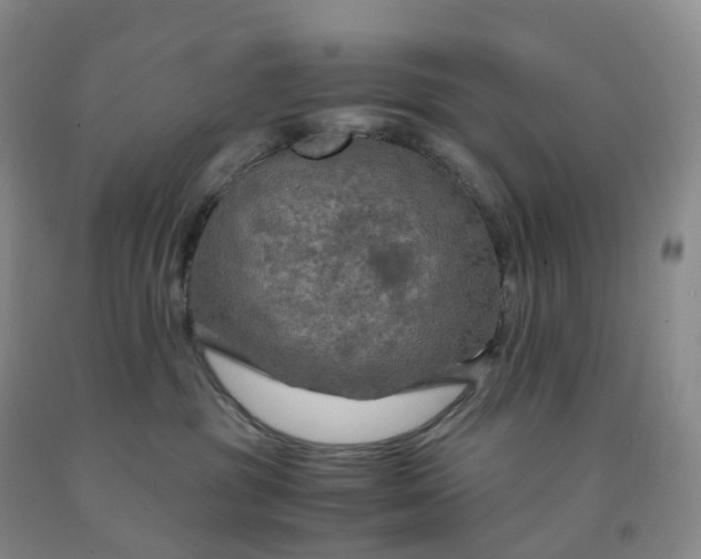 X0000092000381200709201514