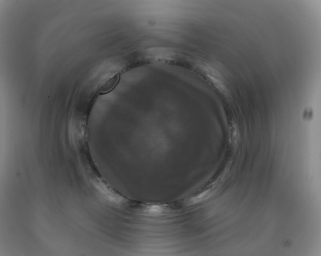 X0000092000382200709201514