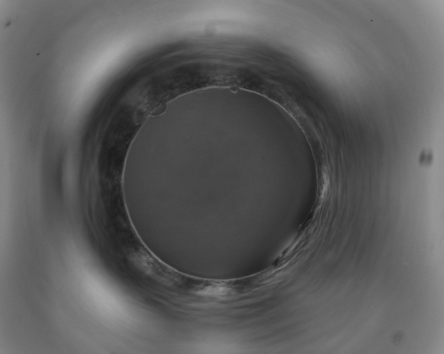 X0000092000383200709201514