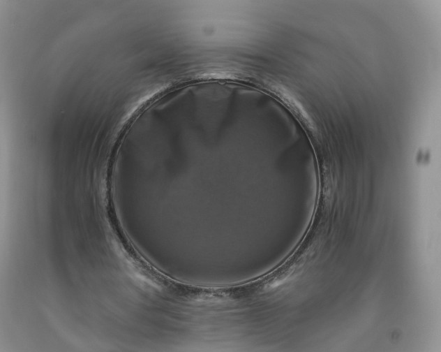 X0000092000386200709201513