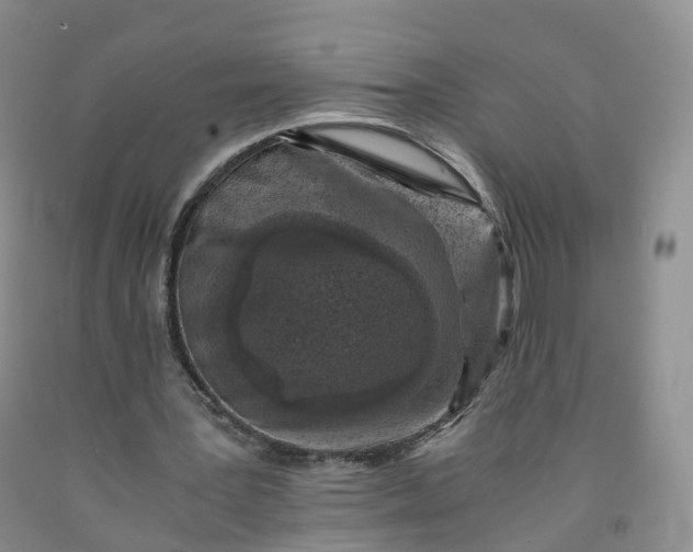 X0000092000387200709201513