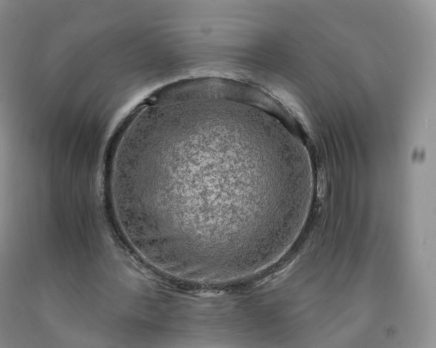 X0000092000388200709201513