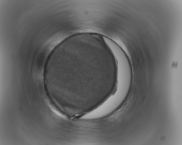 X0000092000389200709201513