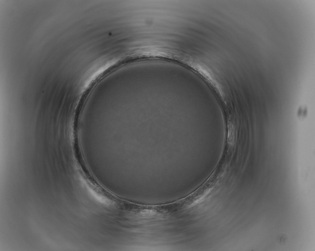 X0000092000390200709201513