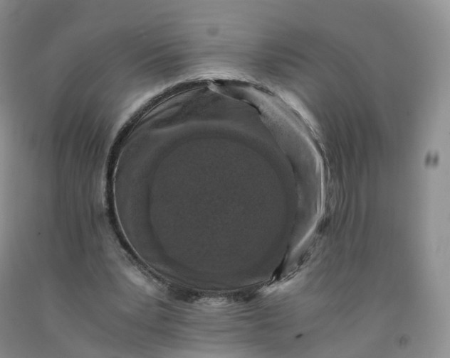 X0000092000391200709201513