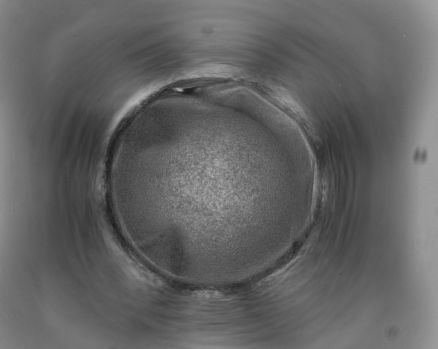 X0000092000392200709201513