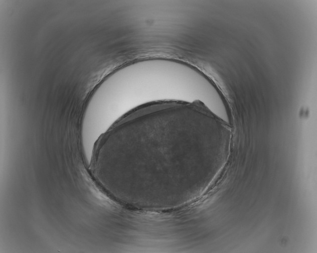 X0000092000393200709201513