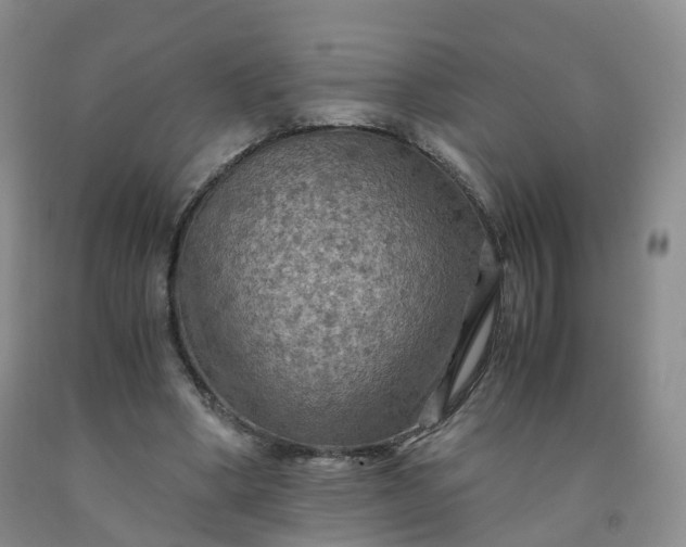 X0000092000394200709201513